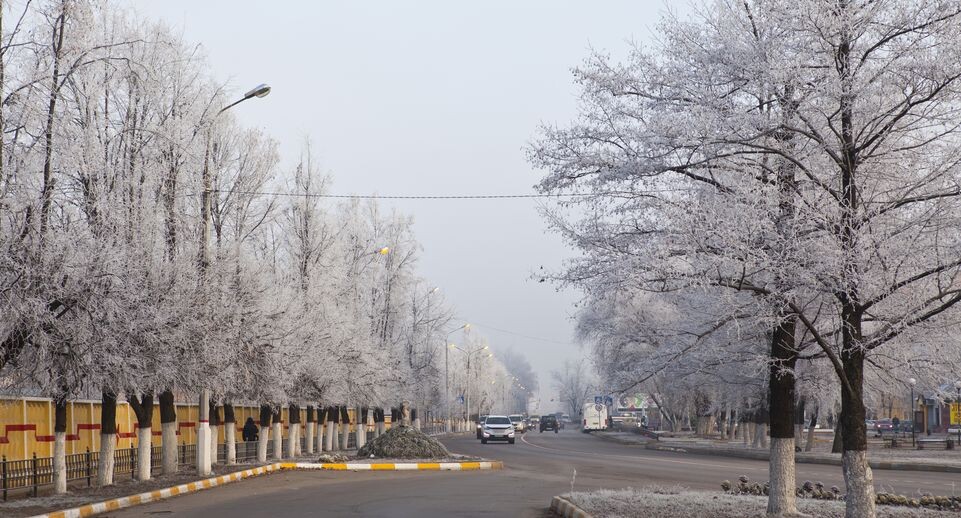    Морозная погода в Раменском / Медиасток.рф