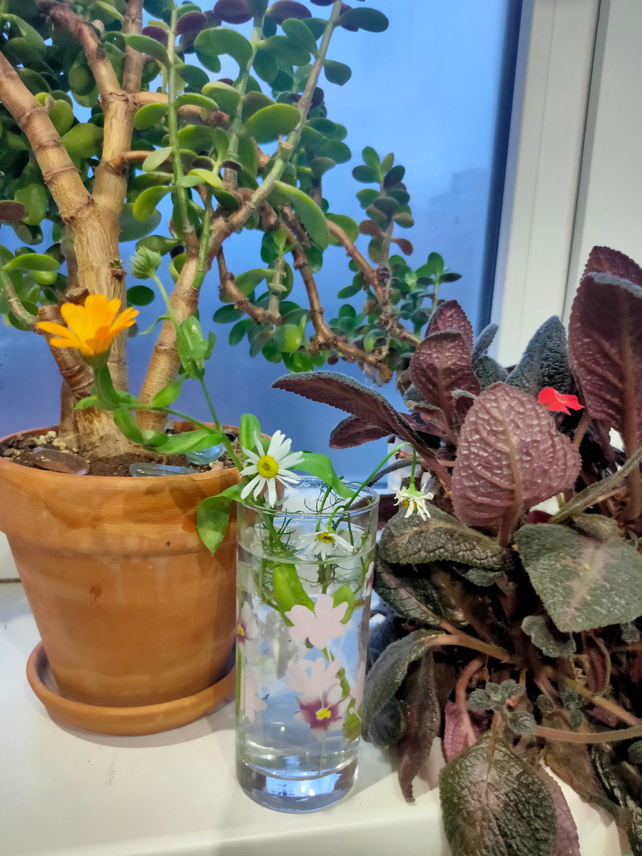 Сложно что-то придумать. Фото автора