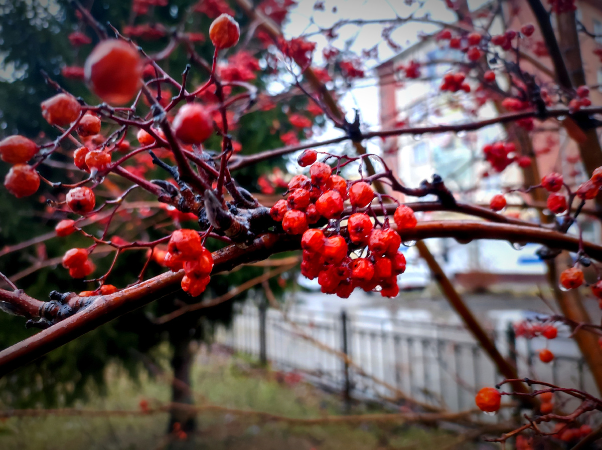 Мой новый день 