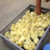 Взято с Яндекс картинки.