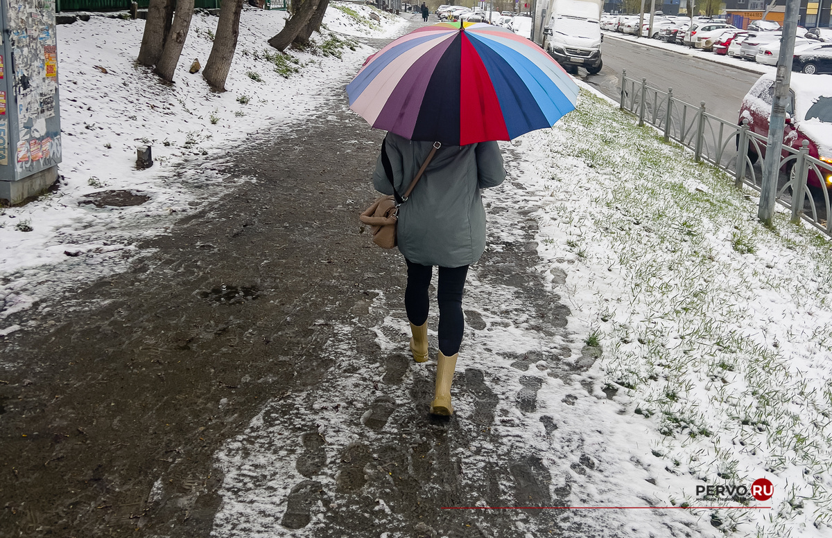 Фото Кравчук Максим / www.pervo.ru