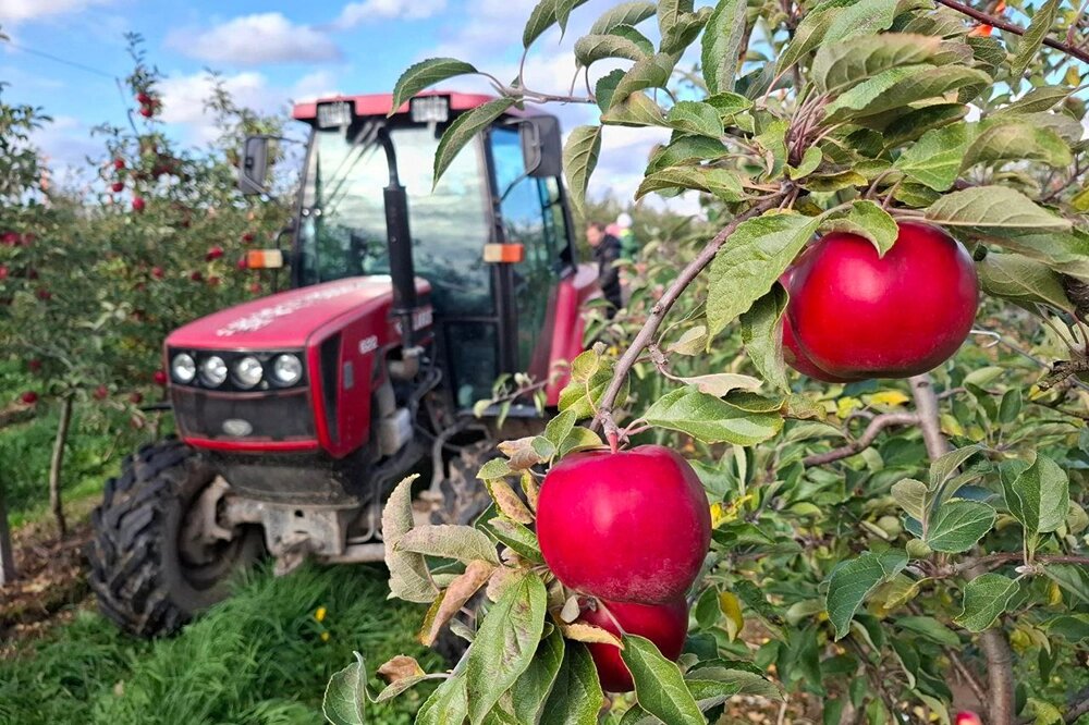    Фото: Олег Кобец