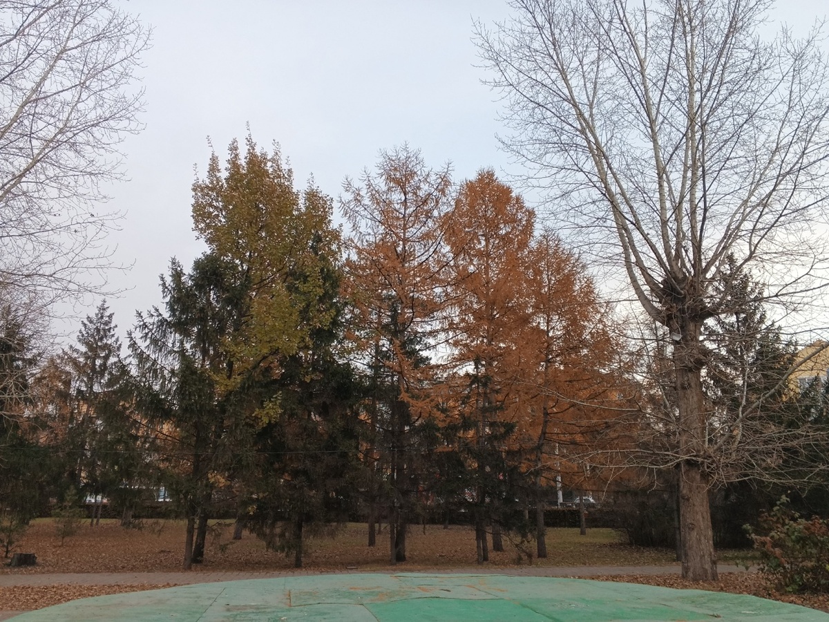 Сквер образца 29.10.2025