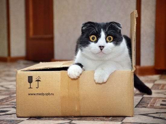 Рак языка 4ой степени и Я. Часть 314. В ожидании обследования. Небольшой переыв. Рутина