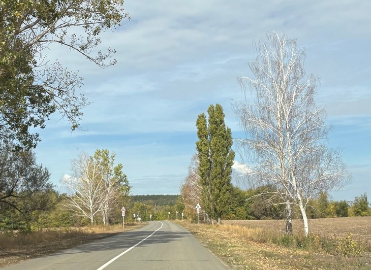    природа Алексеева Наталья