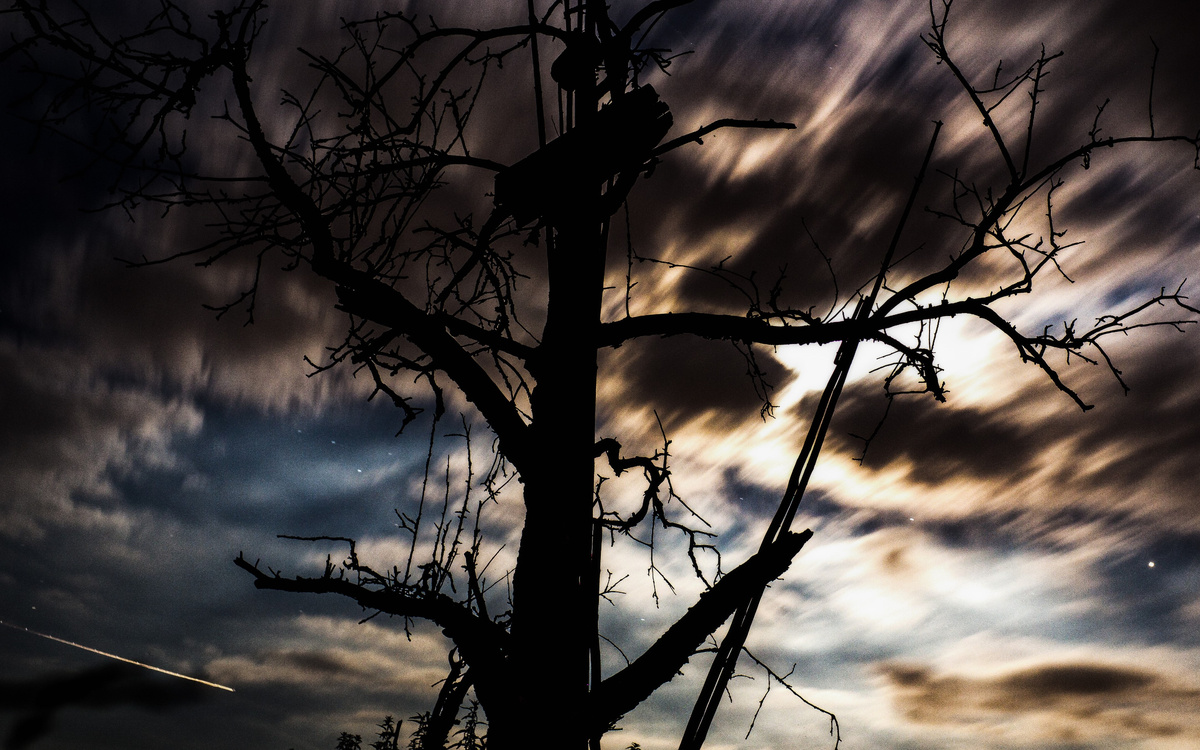 Фото: Oliver Hihn с сайта unsplash.com