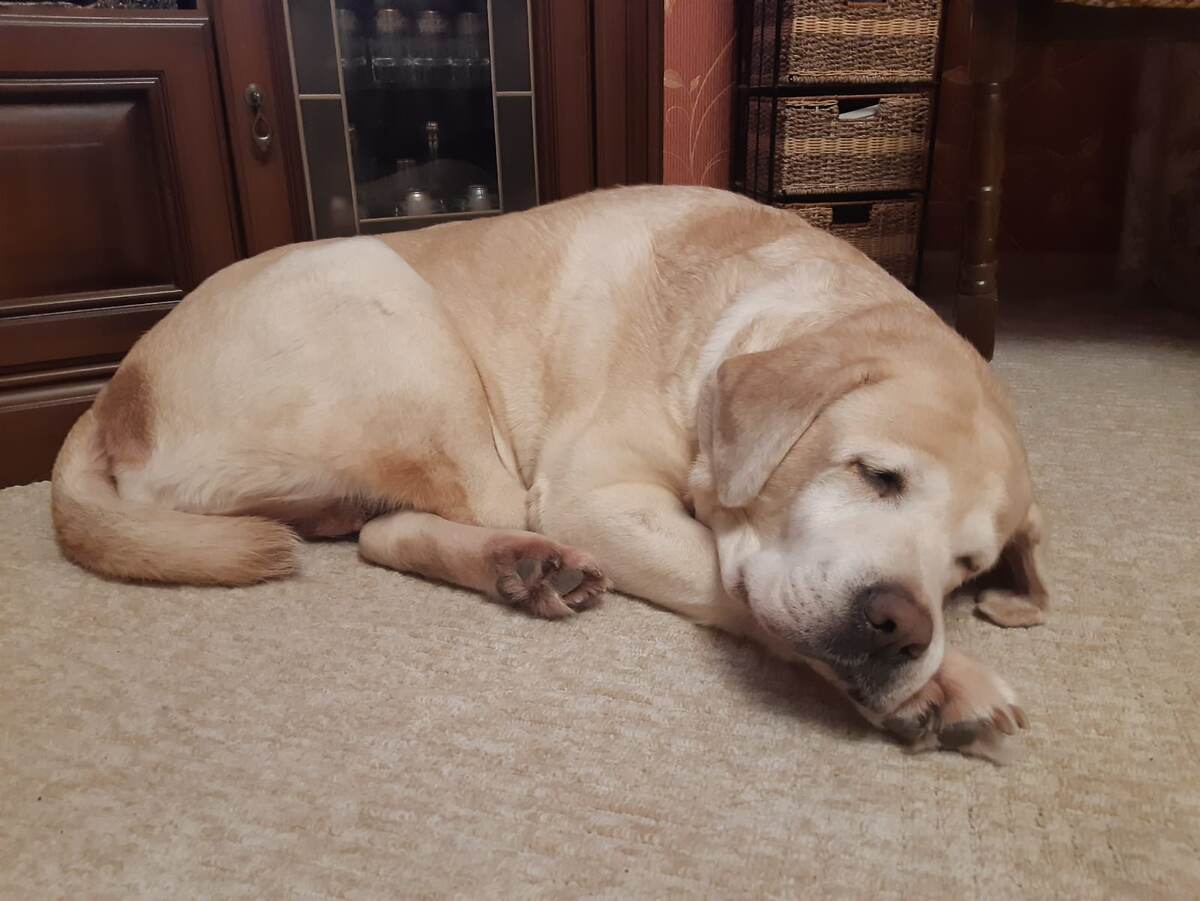 Из личного архива. 2024 год.