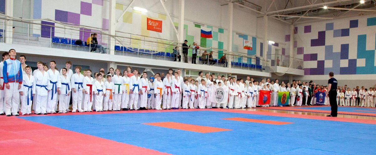 Более 200 спортсменов приняли участие в чемпионате Псковской области по рукопашному бою
Фото: предоставила Дина Дымова