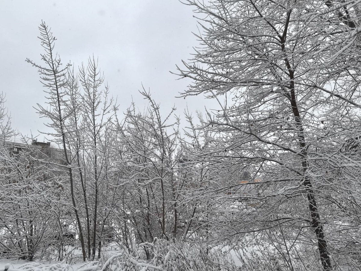 В Приморском крае обещают потепление после морозов.  Фото: Фото: ФедералПресс / Ксения Кобалия