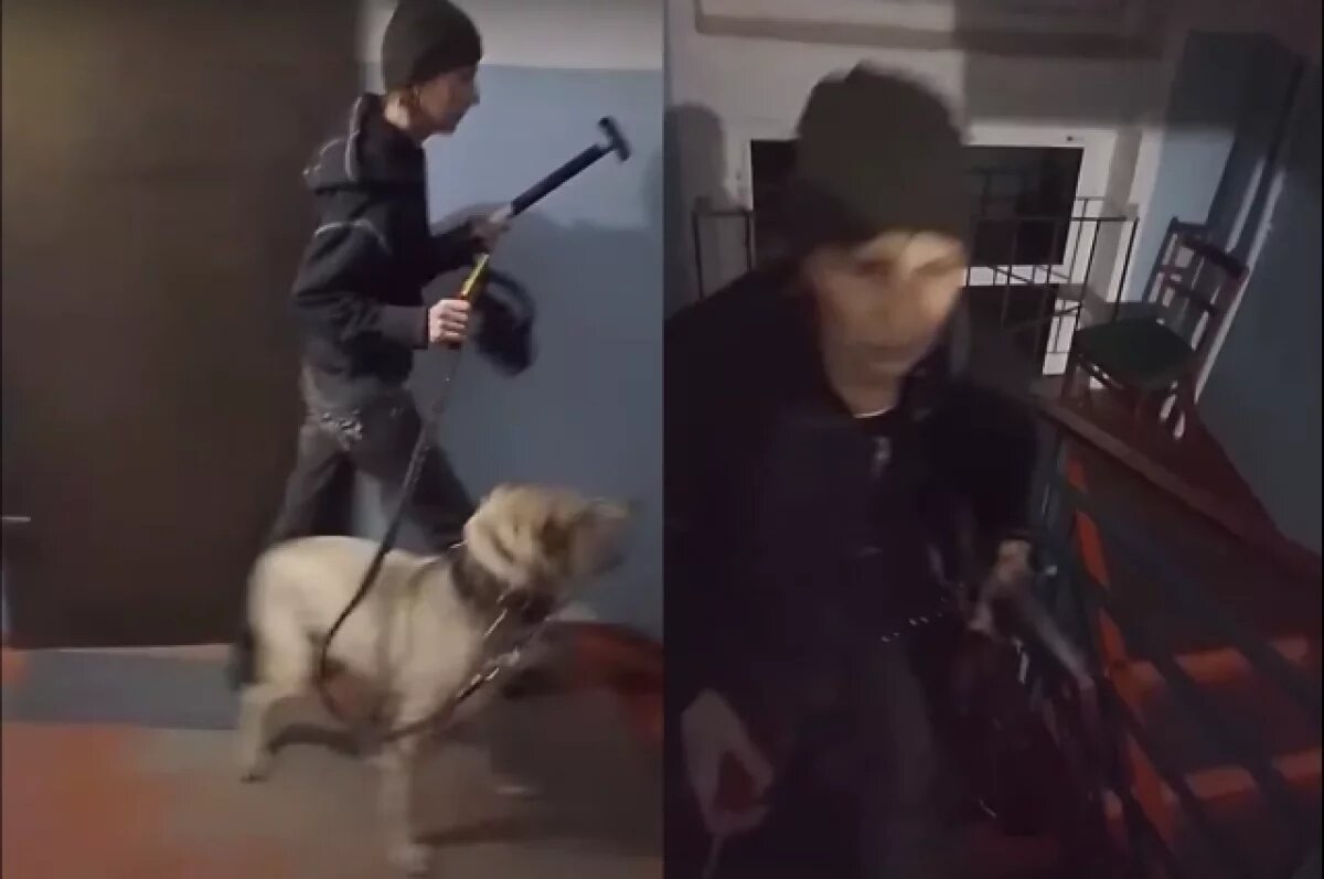    Появилось видео агрессивной собачницы, пугающей соседей молотком в Омске