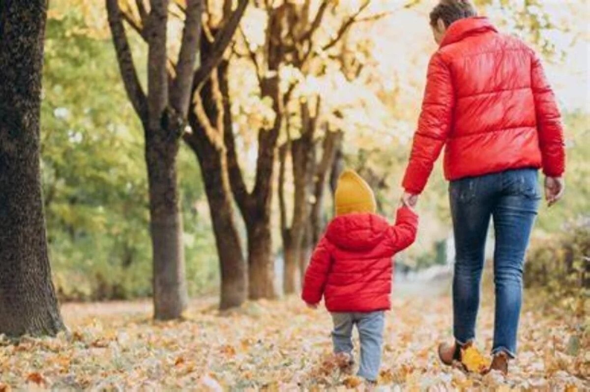    Синоптик Ильин сказал, сколько продлится теплая погода в Москве