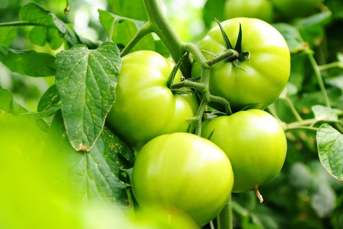    Фото: Алексей Сухоруков, источник РИА Новости