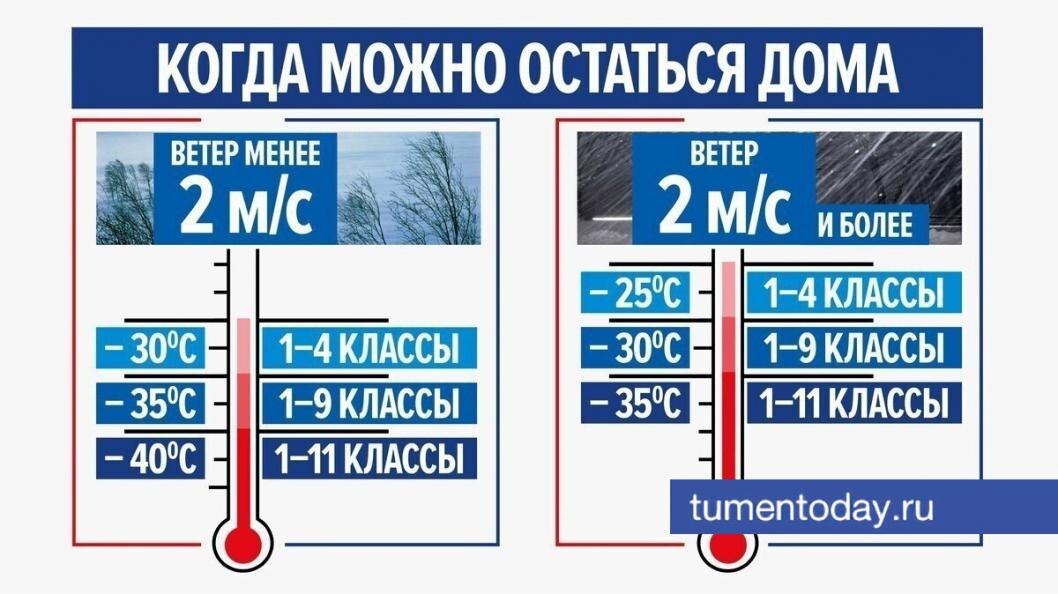  Инфографика издания «Тюменская область сегодня»