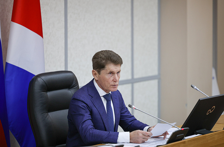 
Губернатор Приморья подчеркнул высокую эффективность работы Совета по привлечению инвестиций / Фото: Игорь Новиков – правительство Приморского края