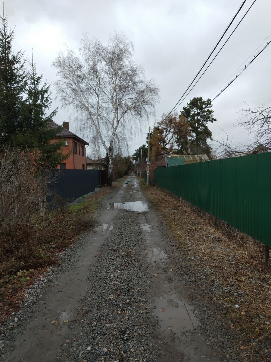 Аллея образца 1.11.2025