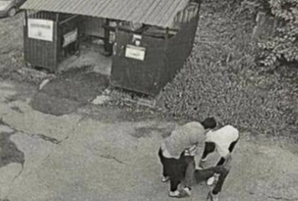 Фото: скрин видео.