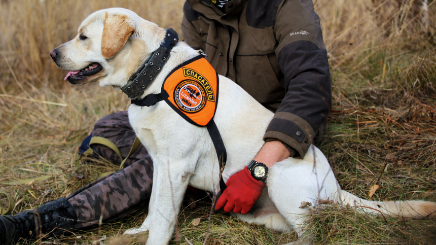    Фото: © РИА Новости/Кирилл Шипицин