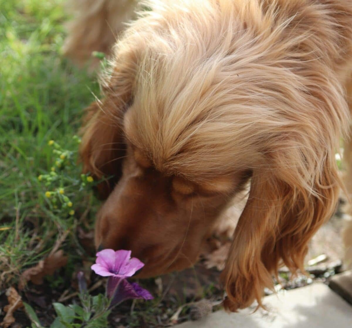    © Tanya Barrow, unsplash.com