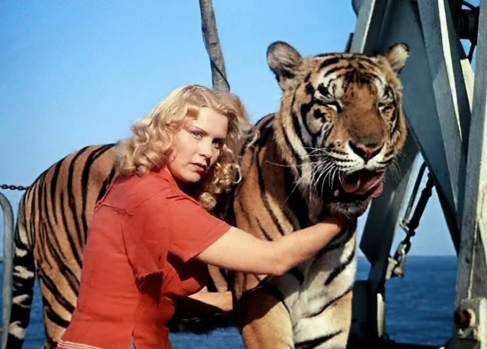 Фото из открытых источников