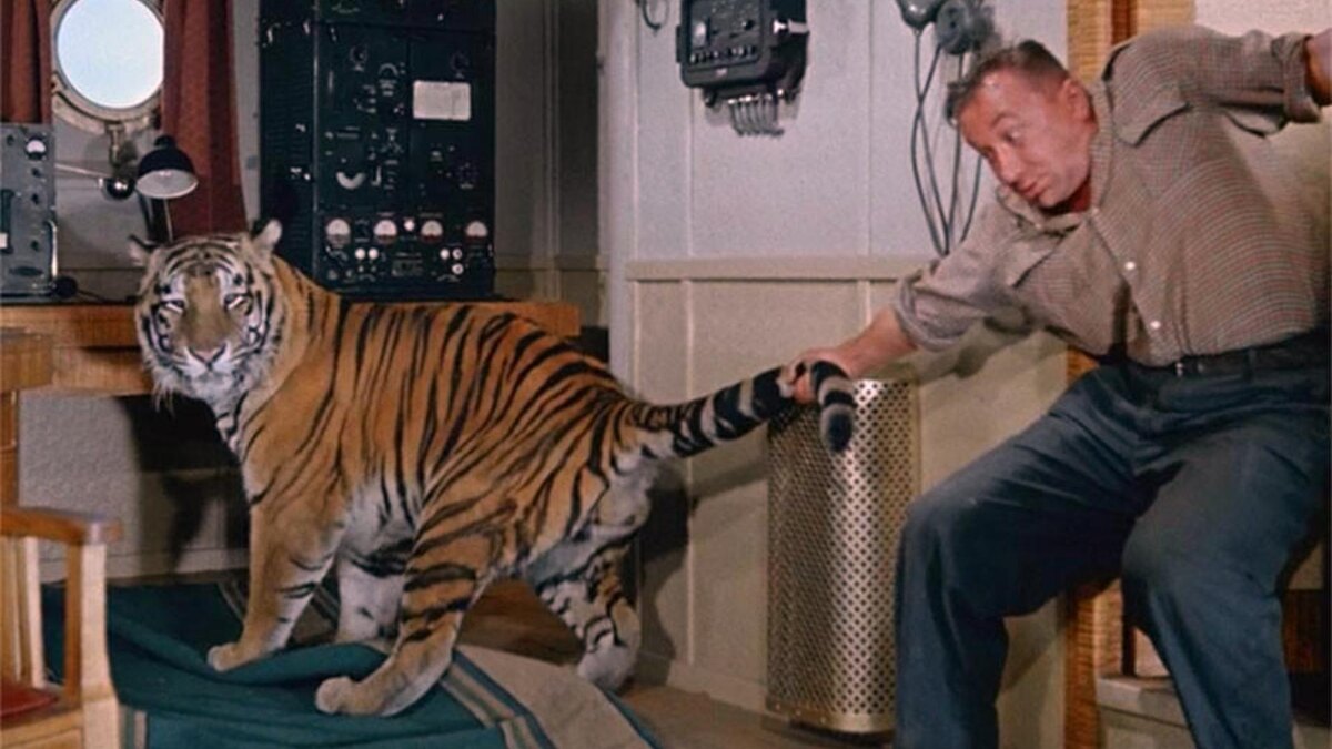 Фото из открытых источников