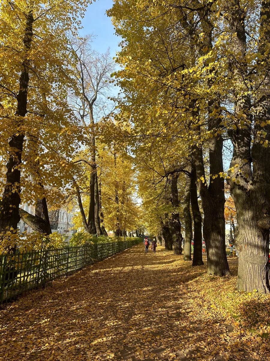 Форпост Северо-Запад / Екатерина Рубайко