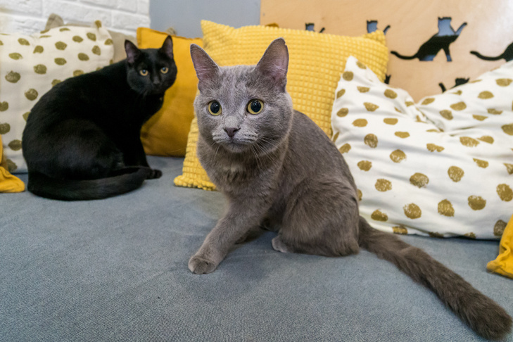    Фото Андрея Заржецкого