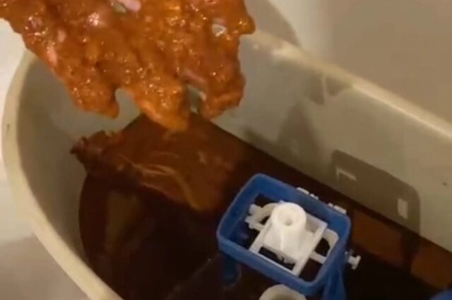    Семья поменяла сантехнику, потому что прежняя была испорчена из-за осадка Фото: Из личного архивa/ Наталья Анисимова