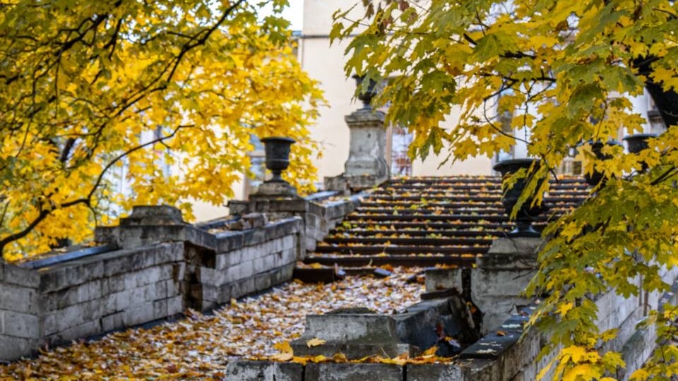 Усадьба Хлудовых-Найдёновых на Земляном валу