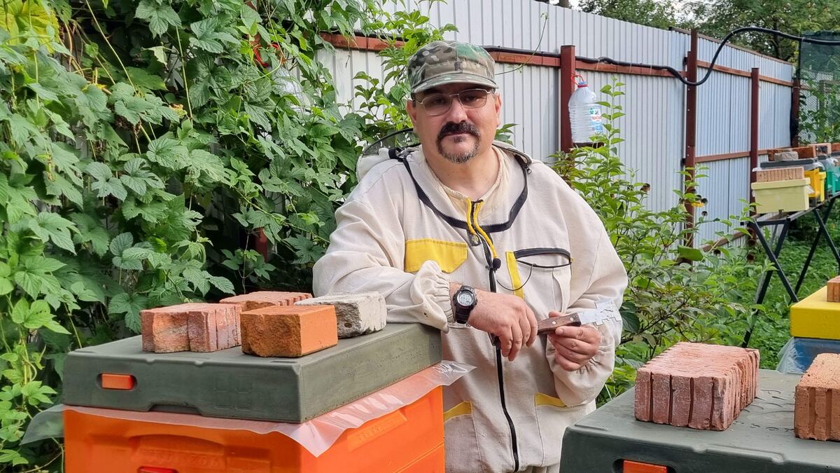 Купить пчелопакеты