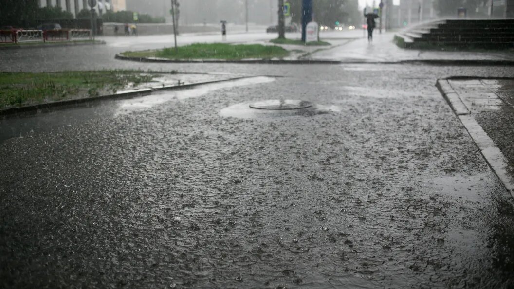    Фото: Sergey Zaykov/Shutterstock