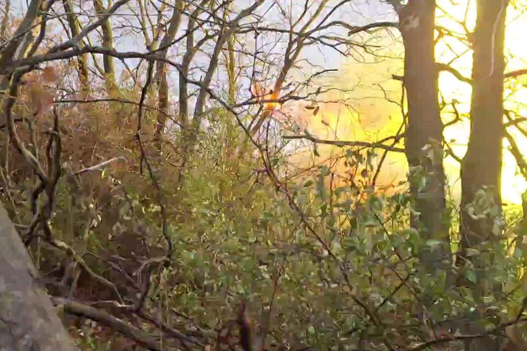 Фото: ИЗВЕСТИЯ/Дмитрий Астрахань