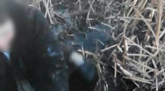 Фото: Поисково-спасательная служба Челябинской области