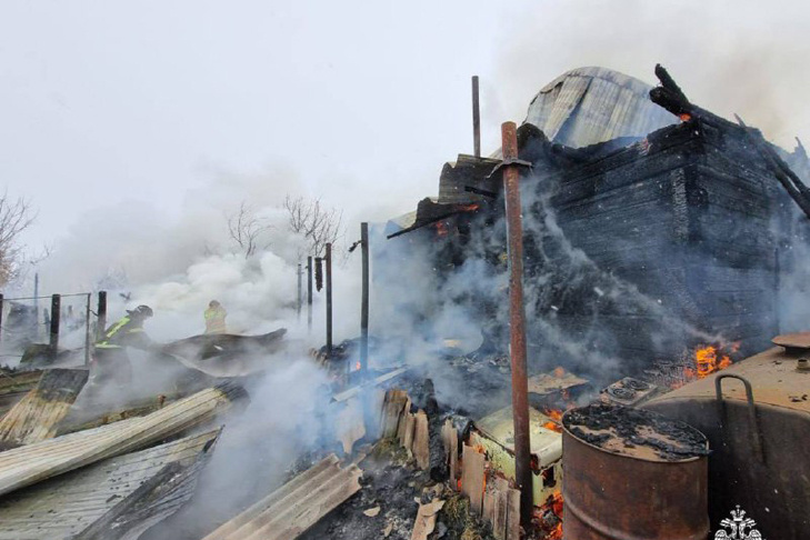    Фото ГУ МЧС по НСО