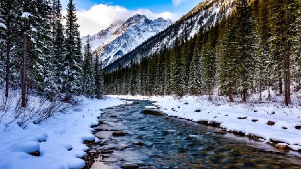    коллаж Царьграда