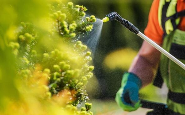 Препараты для защиты сада на сезон: ваш гид от А до Я. Как работать с «тяжелой артиллерией» — системными и контактными средствами