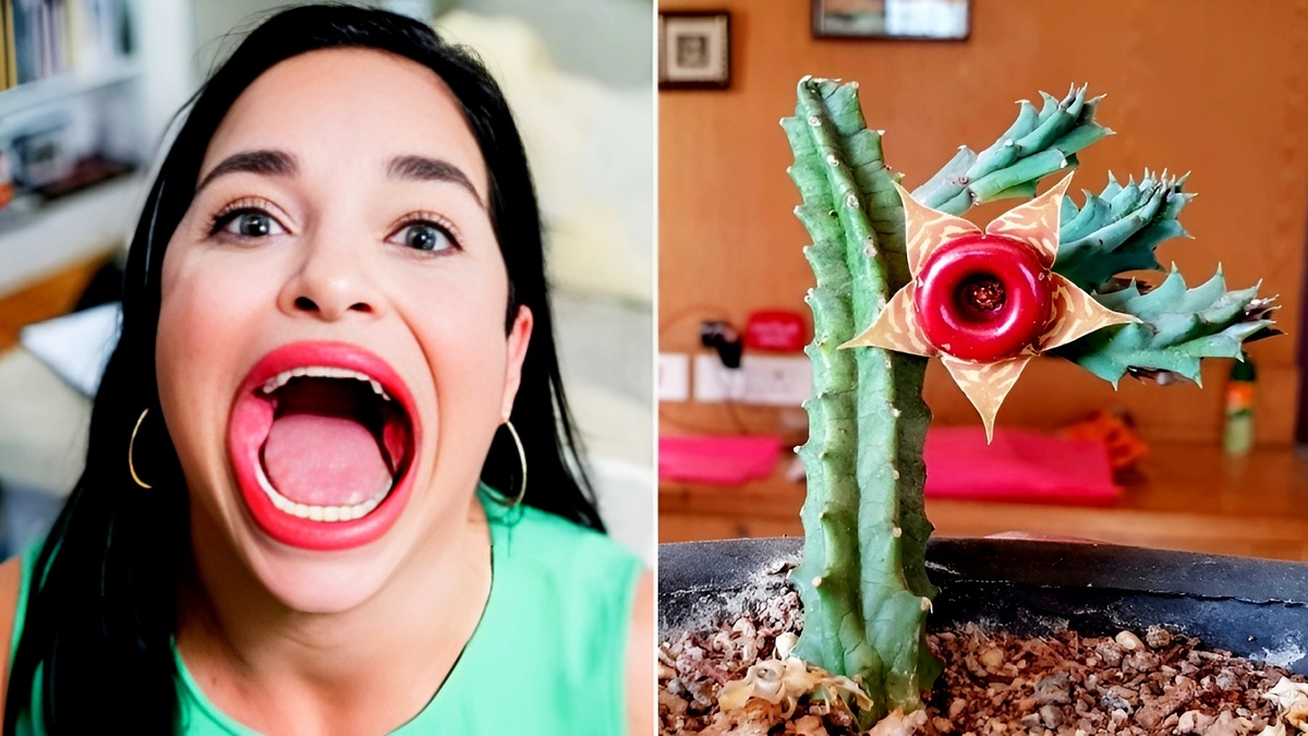 20 невероятных фотофактов, которые не оставят вас равнодушными