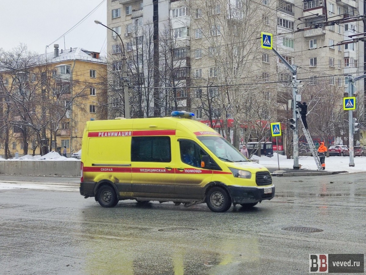     Фото: Юлия Медведева / Вечерние ведомости