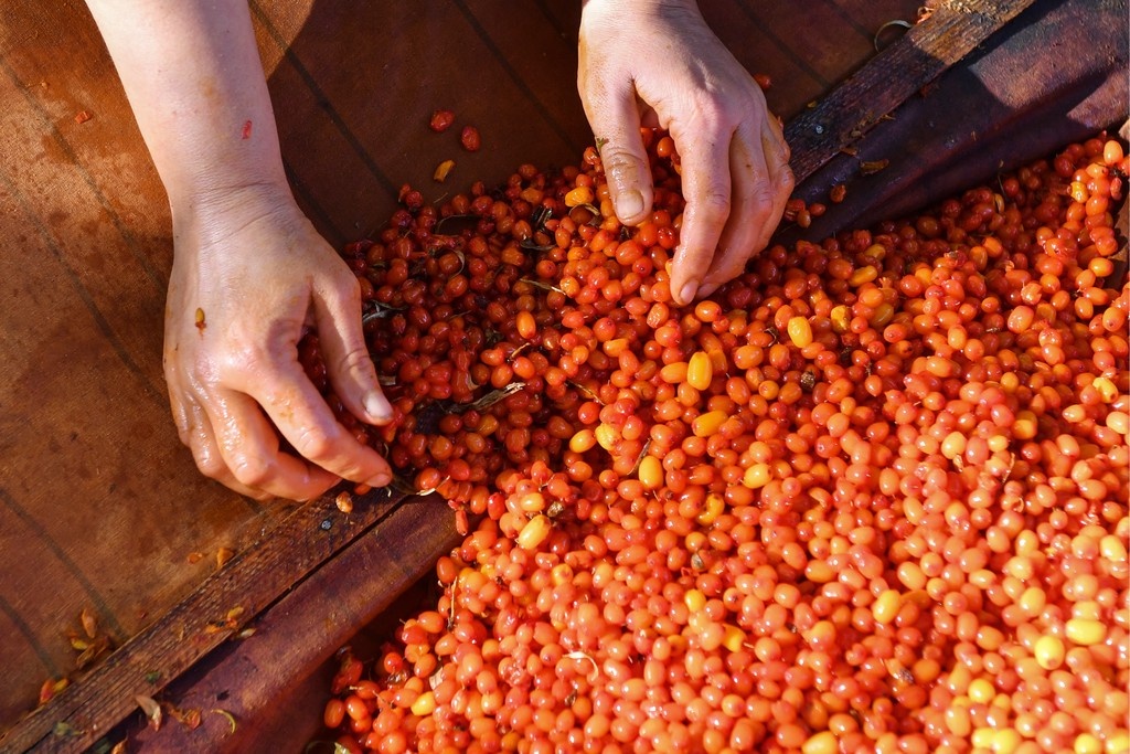    Фото © Кирилл Кухмарь / ТАСС