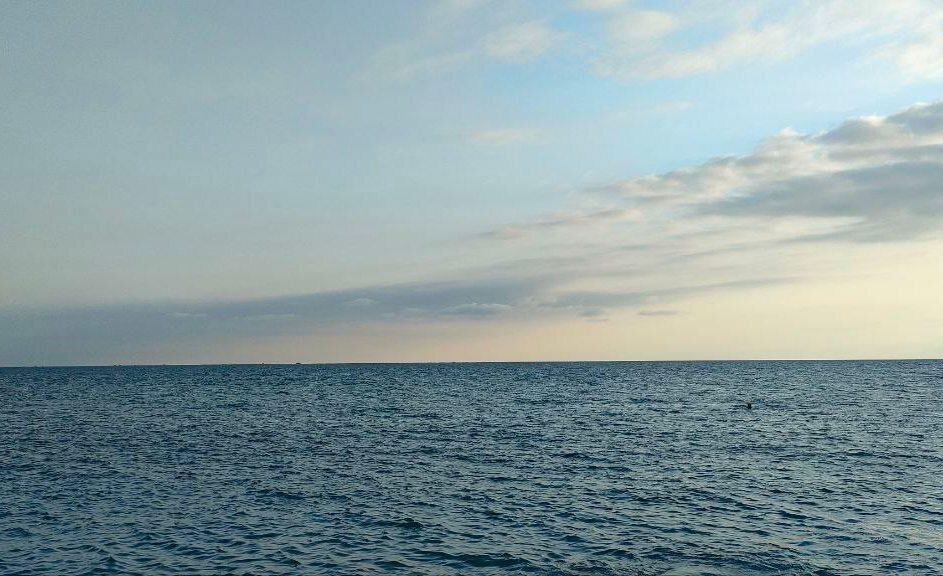 Фото: Издание «Утренний Юг»