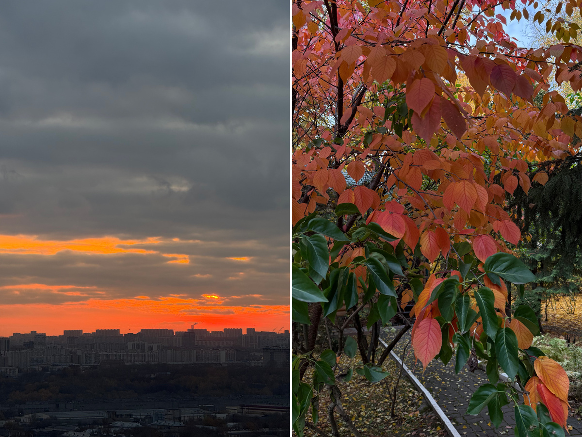 Фото автора канала. 