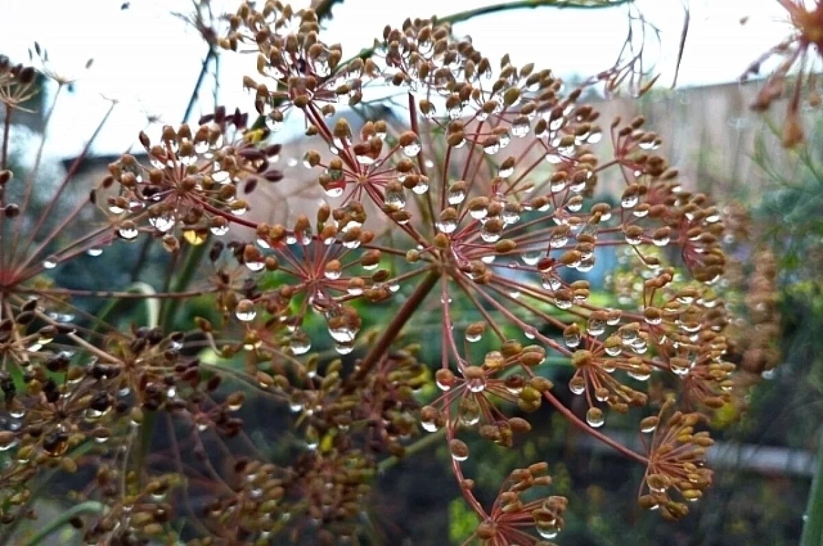    В Крыму 5 ноября ожидается небольшой дождь, воздух прогреется до +19 °