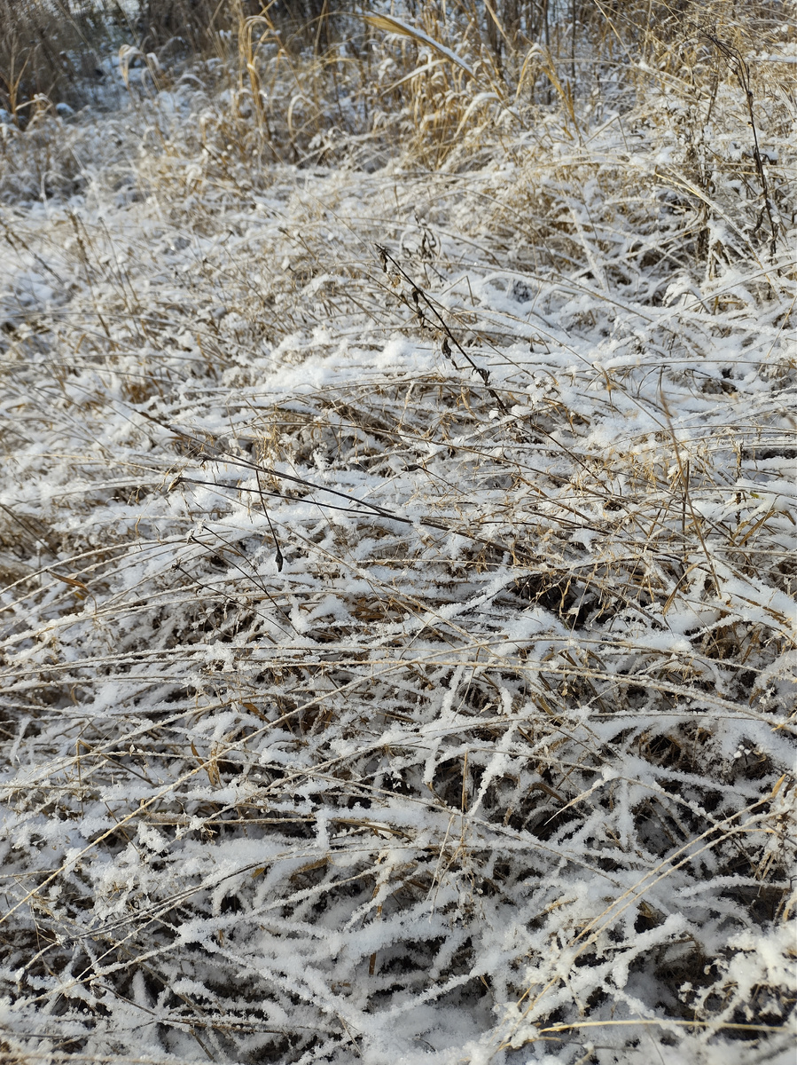 Вот какая красота 