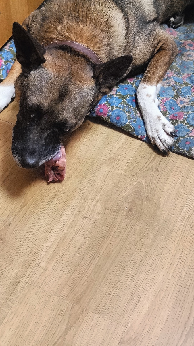 говядина молоком пахнет