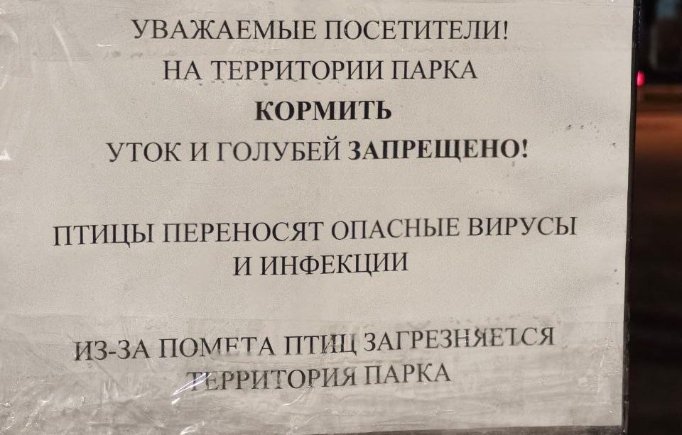    Telegram канал "Квартал миллионеров"/Дмитрий Москвин