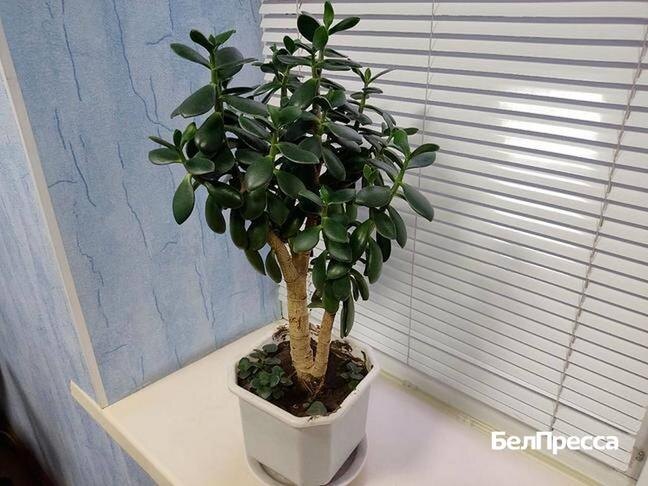 Фото: Маргарита Хохлова (архив)