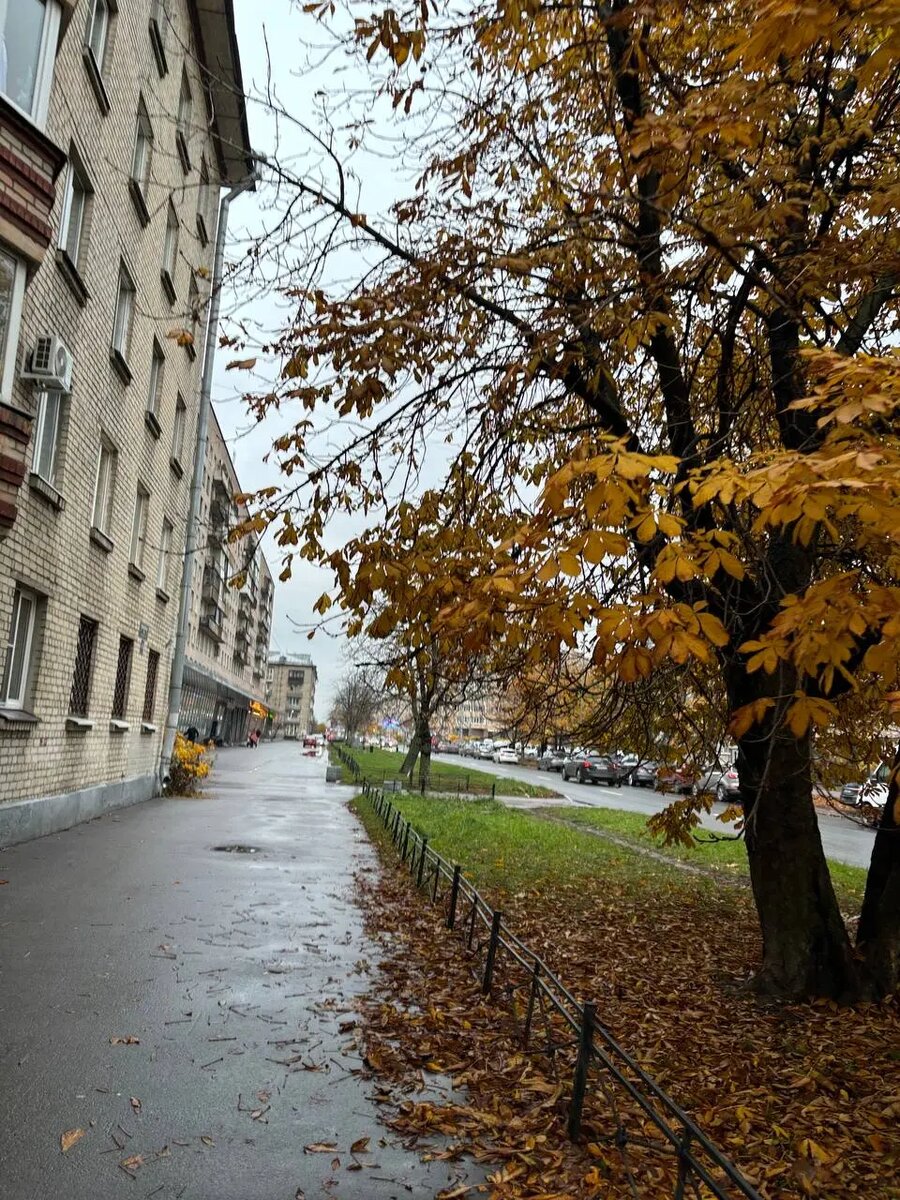    Фото: Мойка78