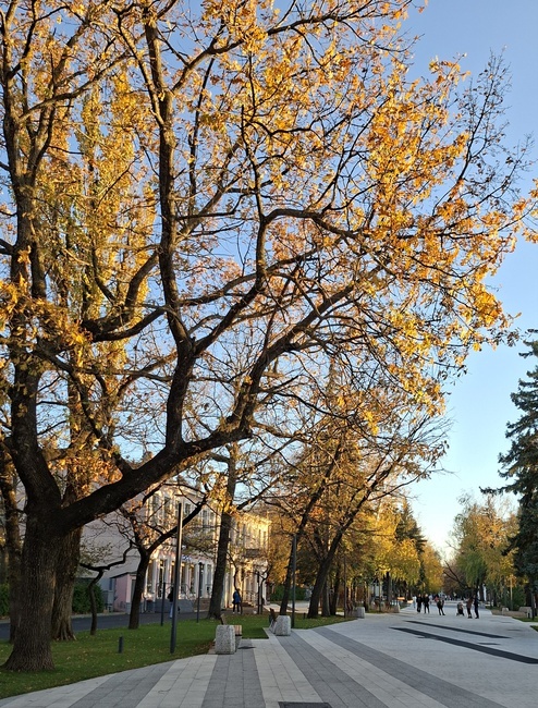 фотография автора