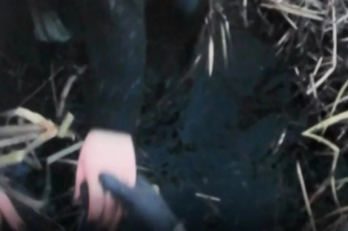    В Миассе девушка увязла в болоте по дороге домой с девичника