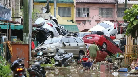 Тайфун "Калмаеги", последствия
