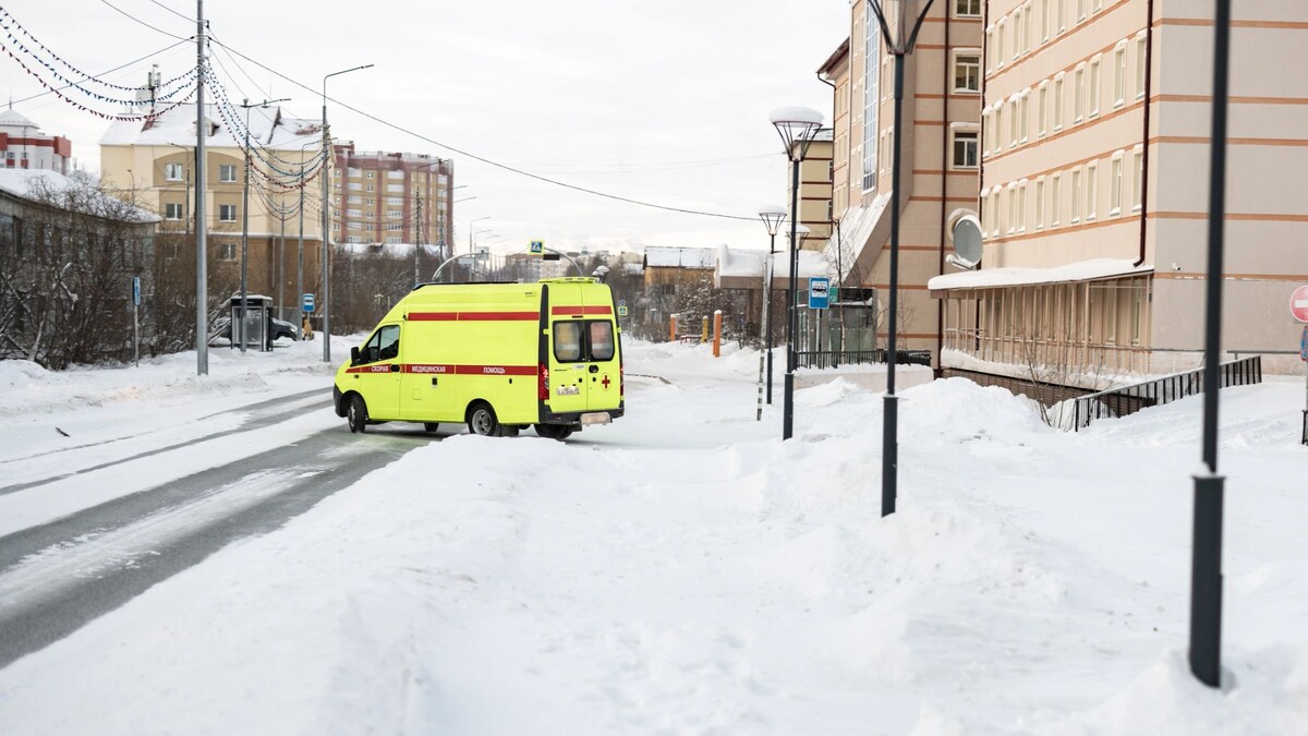    Фото: Сергей Зубков / «Ямал-Медиа»